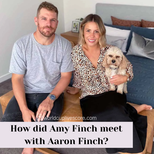 How did Amy Finch meet with Aaron Finch
